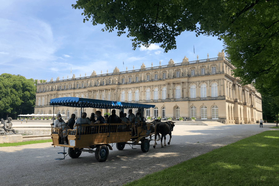 a person riding a horse drawn carriage driving down a street