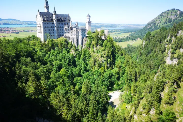 Castle on a hill surrounded by dense green forest under a clear blue sky.