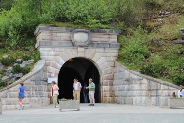 People stand by a stone tunnel entrance with greenery above.