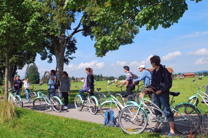 Group of people with bikes on a sunny path bordered by trees and green fields.